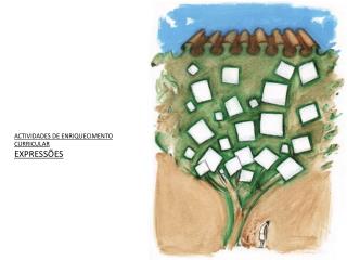 ACTIVIDADES DE ENRIQUECIMENTO CURRICULAR EXPRESSÕES
