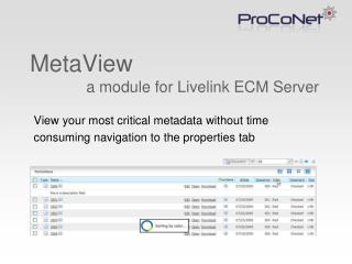 MetaView a module for Livelink ECM Server