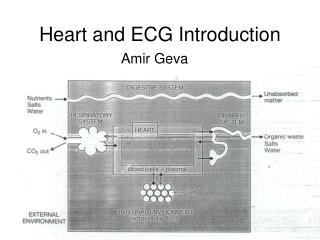 Heart and ECG Introduction