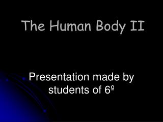 The Human Body II