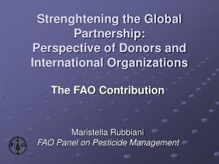 Strenghtening the Global Partnership: Perspective of Donors and International Organizations