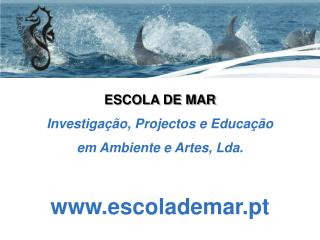 ESCOLA DE MAR Investigação , Projectos e Educação em Ambiente e Artes, Lda. escolademar.pt