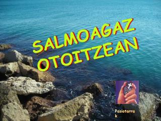 SALMOAGAZ OTOITZEAN