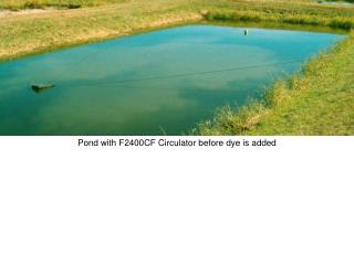 Pond with F2400CF Circulator before dye is added