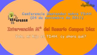 Conferencia Santander sobre TDAH (24 de noviembre de 2011)