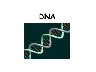 DNA