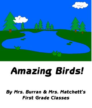 Amazing Birds! By Mrs. Burran &amp; Mrs. Matchett's First Grade Classes