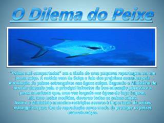O Dilema do Peixe
