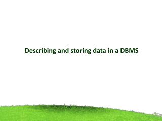Describing and storing data in a DBMS