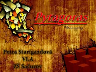 Petra Starigazdová VI.A ZŠ Sačurov