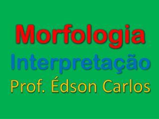 Morfologia Interpretação
