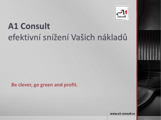 A1 Consult efektivní snížení Vašich nákladů