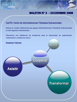 BOLETIN N° 3 - DICIEMBRE 2008