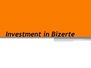 Investment in Bizerte