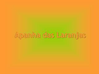 Apanha das Laranjas