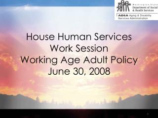 House Human Services Work Session Working Age Adult Policy June 30, 2008