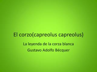 El corzo(capreolus capreolus)