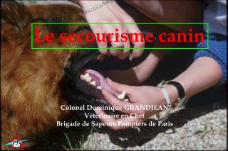 Le secourisme canin