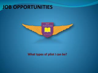 What types of pilot I can be?