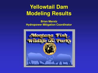 Yellowtail Dam Modeling Results Brian Marotz Hydropower Mitigation Coordinator