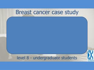 level 8 - undergraduate students