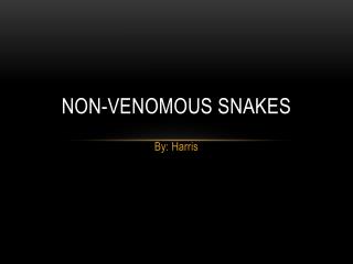 Non-Venomous Snakes