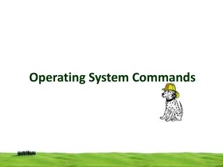 Operating System Commands
