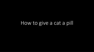 How to give a cat a pill