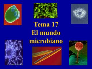 Tema 17 El mundo microbiano !