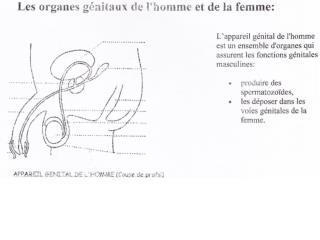 Doc 1