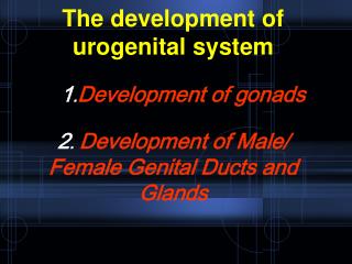 Development of gonads