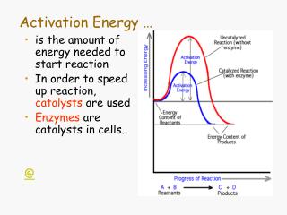 Activation Energy …