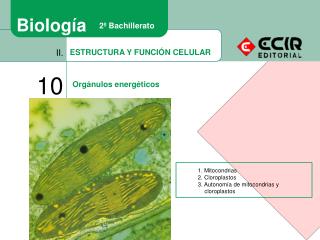 ESTRUCTURA Y FUNCIÓN CELULAR