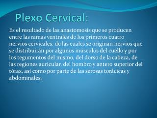 Plexo Cervical: