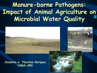 Manure-borne Pathogens: Impact of Animal Agriculture on Microbial Water Quality