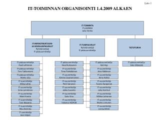 IT-TOIMINNAN ORGANISOINTI 1.4.2009 ALKAEN