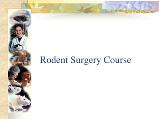 Rodent Surgery Course