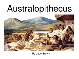 Australopithecus