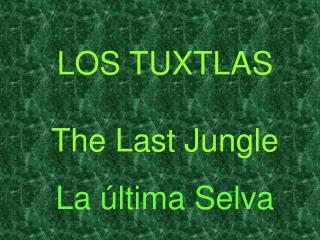 LOS TUXTLAS The Last Jungle La última Selva