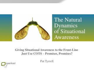 The Natural Dynamics of Situational Awareness