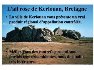 L’ail rose de Kerlouan, Bretagne