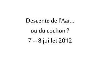 Descente de l’Aar... ou du cochon ? 7 – 8 juillet 2012