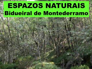 ESPAZOS NATURAIS Bidueiral de Montederramo