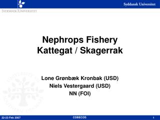 Nephrops Fishery Kattegat / Skagerrak