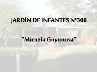 JARDÍN DE INFANTES N°306 “Micaela Guyunusa”