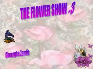 THE FLOWER SHOW