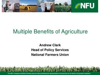 Multiple Benefits of Agriculture