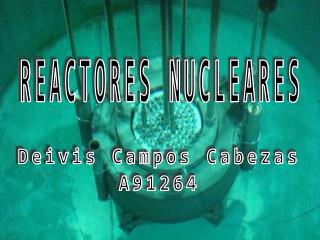 REACTORES NUCLEARES
