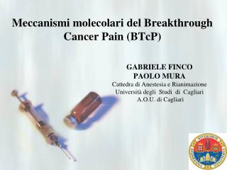 Meccanismi molecolari del Breakthrough Cancer Pain ( BTcP )