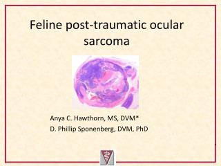 Feline post-traumatic ocular sarcoma